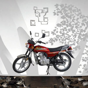 Nouveauté : motos tout-terrain de 100 à 200 cm3 pour les catégories de rallye et de vélo de rue - Product Image 3