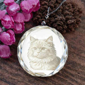 Кулон-урна для праха в форме сердца из хрусталя для кошек и собак - Product Image 3