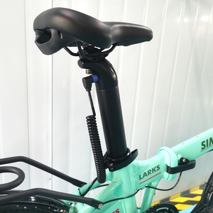 Vélo électrique pliable 2022 le plus récent avec batteries intégrées pour femmes, modèle Step-Through PAS, pour la vente en gros – Larks 20 pouces - Product Image 6