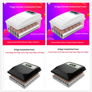 Máquina de incubadora de incubadora de huevo de <span class=keywords><strong>pavo</strong></span> de <span class=keywords><strong>pollo</strong></span> solar de 220V + 12V de doble potencia con bandeja rodante - Product Image 5