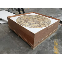 Meubles en pierre table basse violette socle bas marbre salon luxe naturel personnalisé table basse Calacatta violette