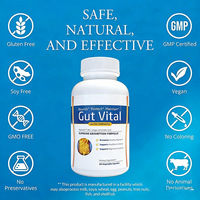 Compléments alimentaires pour adultes à base de zinc, de carnosine, de gingembre et de feuilles d'artichaut pour la santé intestinale et le bien-être digestif, capsules végétales naturelles