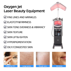 Machine à oxygène pour la beauté, pureté 93%, 250W, bruit 45dB, générateur PSA, 220V 50Hz, pour salon, spa, distributeur, vente en gros, approvisionnement en vrac, OEM - Product Image 2