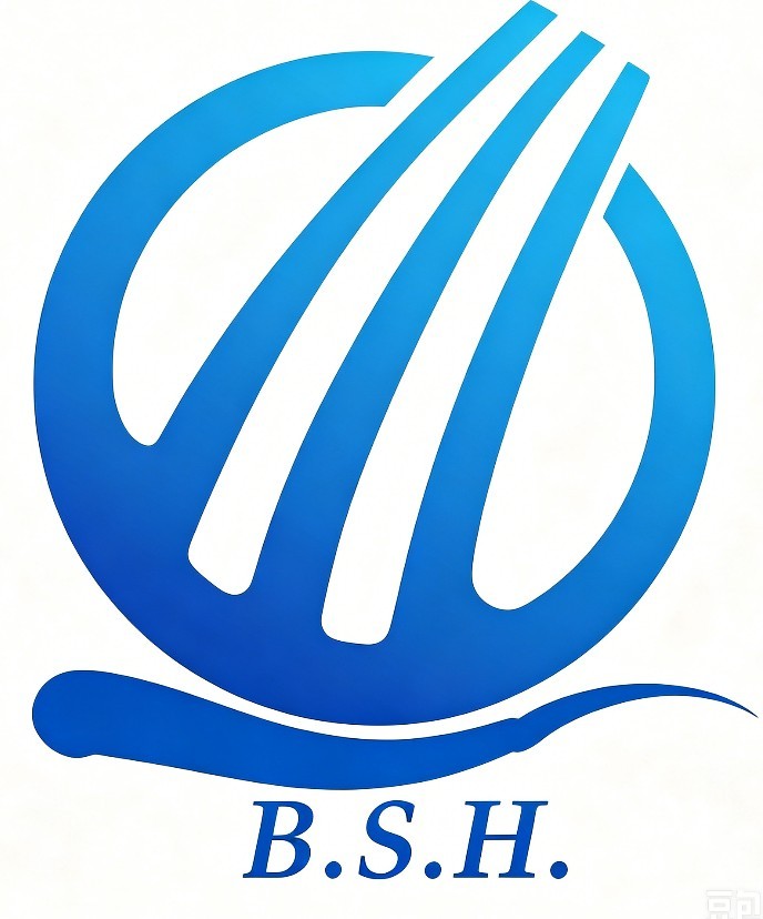 Shenzhen Beishihao Technology Co., Ltd.