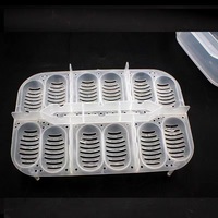 Boîte d'incubation rectangulaire en plastique pour œufs de tortue, incubateur pour œufs de lézard, reptile, poussins, lézard cornu, dragon barbu, thermomètre