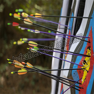 Flecha de tiro <span class=keywords><strong>con</strong></span> arco de ala Natural Real mixta, paletas Fletching, pluma de pavo para DIY, tiro <span class=keywords><strong>con</strong></span> arco, caza, tiro al blanco, accesorio de flecha - Product Image 4