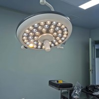 700 LED Portable Shadowless Lampe Chirurgicale Examen Opérations Chirurgicales Métal Pet Hôpital Théâtre D'opération Lumières Électrique