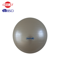 Vente en Gros Pilates Sport Jouets Femmes Gonflable Pvc Yoga Gym Ball Skin Ball