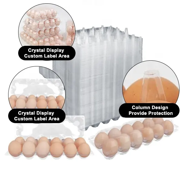 Caixa de plástico para ovos 12 caixas de ovos baratas a granel