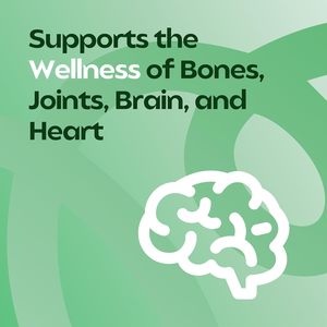 Gomitas de Moringa naturales Superfood Moringa Gummy Moringa Suplemento Distribuidores de suplementos al por mayor - Product Image 4