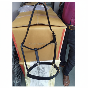 Horse Leather <b>Halters</b> - Product Image 1