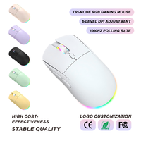 Souris de jeu RGB sans fil tri-mode 4800 DPI, 6 niveaux réglables, taux de rapport 1000 Hz, rechargeable USB-C, ergonomique 105g, fourniture OEM