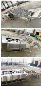 Machine à trier les petits légumes et fruits Pomme de terre Tomate Ail Chili Poivre Oignon Carotte Concombre Champignon Machine à classer les champignons - Product Image 6