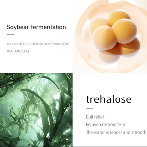 Набор для ухода за кожей Private Label Carnosine из семи средств: антивозрастной, отбеливающий, с корейским красным женьшенем, травяной питательный увлажняющий крем для всех типов кожи - Product Image 4