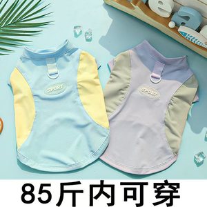 เสื้อกั๊กสำหรับสัตว์เลี้ยง โพลีเอสเตอร์แห้งเร็ว ดีไซน์สปอร์ตสำหรับสุนัข แมว เสื้อผ้าฤดูใบไม้ผลิฤดูร้อน - Product Image 2