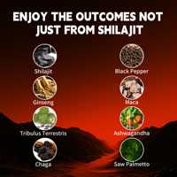 Fabricant de compléments alimentaires, gouttes liquides de Shilajit et d'Ashwagandha au goût fraise, 1400 mg, soutient la mémoire et la fonction cérébrale
