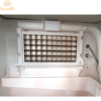 Fabricant de glace en cubes de grande capacité 1000 kg par jour, prix au Cameroun, mini-machine à glaçons domestique de 40 kg, 100 kg