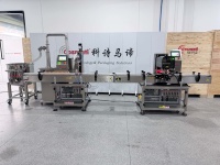 Machine de remplissage électrique entièrement automatique à servo, à tête unique, avec pompe à engrenages, haute précision, multi-tension, en acier inoxydable, certifiée CE