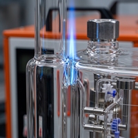 Nouvelle torche oxyhydrogène manuelle haute température pour soufflage de verre, générateur HHO, polisseuse de flamme en acier inoxydable 2800°C, sûre, sans réservoir LQJN 220V