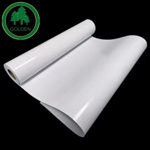China Factory 50gsm LWC <b>Paper</b> Thick C2S Gloss Digital <b>Paper</b> Perfect for Color Laser Printing in Peru Market - Product Image 1