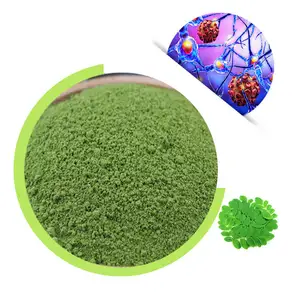Пищевой Порошок Листьев Моринги экстракт 5:1 чистый зеленый травяной добавка дикий культивируемый HPLC