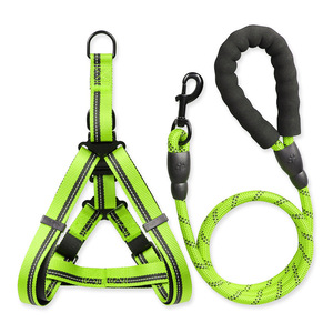 Conjunto <span class=keywords><strong>de</strong></span> Correa y Collar para perro, correa para el pecho para caminar al aire libre, fuerte y duradero, venta al por mayor - Product Image 2
