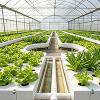 Système d'hydroponie NFT pour l'agriculture, culture en tubes PVC, serre personnalisée, système NFT, tuyau carré