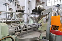 Presse à huile de coco entièrement automatique pour usage domestique, en acier au carbone ou en acier inoxydable, 380V, machine d'extraction d'huile pour toutes les graines oléagineuses