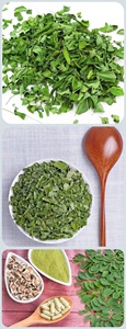 Idobio Moringa lá trà OEM viên nang Moringa lá chiết xuất - Product Image 2