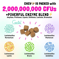 Friandises à mâcher pour chiens, sans céréales, probiotiques, vitamines et minéraux, pour soutenir la santé digestive, stimuler l'immunité, bien-être quotidien des animaux de compagnie