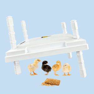 Placa calefactora <span class=keywords><strong>Solar</strong></span> para pollos, broches ajustables <span class=keywords><strong>de</strong></span> altura, producto nuevo, Pavilion - Product Image 3