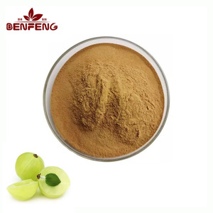 ピュアナチュラル10:1 Emblica Officinalisエキスパウダー10:1 Phyllanthus Emblicaエキス - Product Image 1