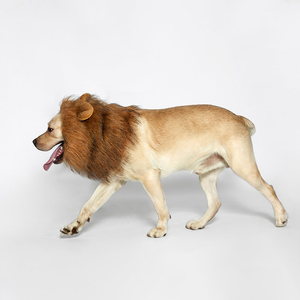 Di Halloween divertente <span class=keywords><strong>leone</strong></span> criniera <span class=keywords><strong>abbigliamento</strong></span> per animali domestici giacca con cappuccio maglione cappotto costumi <span class=keywords><strong>abbigliamento</strong></span> per cani per cane - Product Image 5