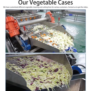 เครื่องล้างผักสด ผักโขม กะหล่ำปลี แบบหมุนวน 1-3 ตัน/ชม. พร้อมลูกกลิ้งกำจัดสิ่งสกปรก - Product Image 5