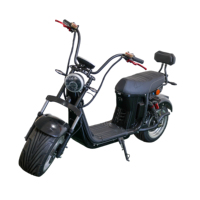 Scooter électrique à 2 roues 60V Citycoco pour adultes, directement de l'usine