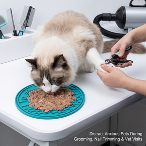 Tapis de léchage en silicone pour chiens et chats, tapis de léchage à alimentation lente avec ventouses, réducteur d'anxiété et d'ennui - Product Image 6