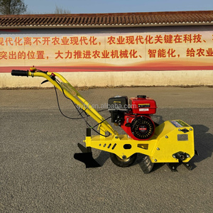 Mini-motoculteur thermique pour désherbage agricole et tondeuse à gazon - Product Image 1