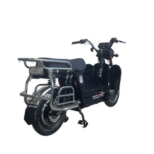 Motocicleta Eléctrica de Carga Pesada Tianneng <span class=keywords><strong>King</strong></span> 2.ª Gen. para Exportación, Ideal para Zonas Montañosas y Subidas de Colinas, 5000W, Litio - Product Image 1