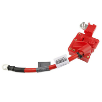 Câble de batterie positif pour borne de voiture 61129217031 61126988974 61126938495 pour BMW Série 1 3 E88 E82 E92 E91 X1 E84 Câble de batterie