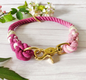 Nuevo Producto 2026 2026 2024 Collar para Perro de Lujo, Colorido y Elegante, con Logotipo Personalizado, de Cuerda de Cáñamo, Multicolor, con Etiqueta - Product Image 1