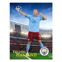 Affiches de football RTS imperméables à installer facilement au Qatar 2022, Anime 3D lenticulaire avec cadre en métal