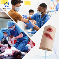 Kit Simulador de Inyección en Piel Artificial IV para Entrenamiento Escolar en Ciencias Médicas, Modelo de Brazo para Venopunción