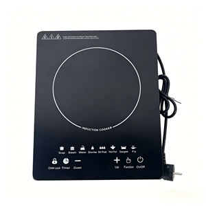 Cocina de Inducción Portátil de 2200W con Panel de Vidrio Pulido y Carcasa de Acero Inoxidable, Placa de Cocción Eléctrica de Sobremesa, Entrega Rápida - Product Image 1
