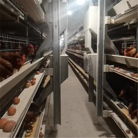Nouveau poulailler automatique multicouche de haute qualité de type H galvanisé à chaud avec 1 an de garantie pour élevage de poulets