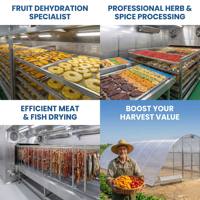 Secador de Alimentos Controlado por PLC de Tamaño Personalizable, Apto para Frutas, Verduras, Pescado y Carne, Secador Solar Automático a Gran Escala