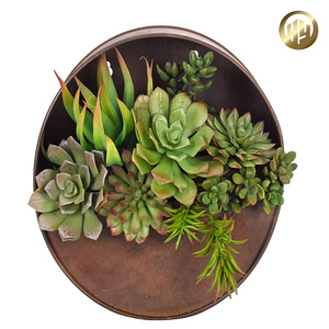 Corten Stahl Heimdekoration Items <span class=keywords><strong>Indoor</strong></span> <span class=keywords><strong>Mini</strong></span> dekorative rostete Metallblumenpflanze - Product Image 5
