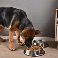 Gamelle antidérapante en acier inoxydable poli avec base en caoutchouc, résistante aux morsures, pour chiens et chats de toutes races, usage intérieur - Vente en gros