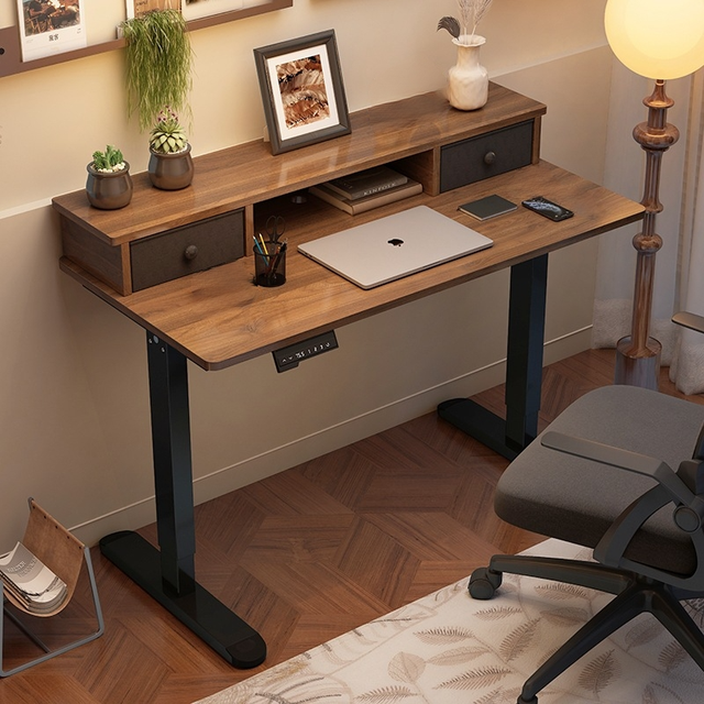 Modern Height Adjustable Electric Standing Desk Motorized Stand up Desk with Drawers Ergonomic Lifting Table for Home Office
