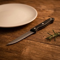 Couteau à éplucher dentelé en acier inoxydable 430, couteau à découper pour barbecue, couteau à steak poli miroir avec manche en plastique pour la maison et les cadeaux