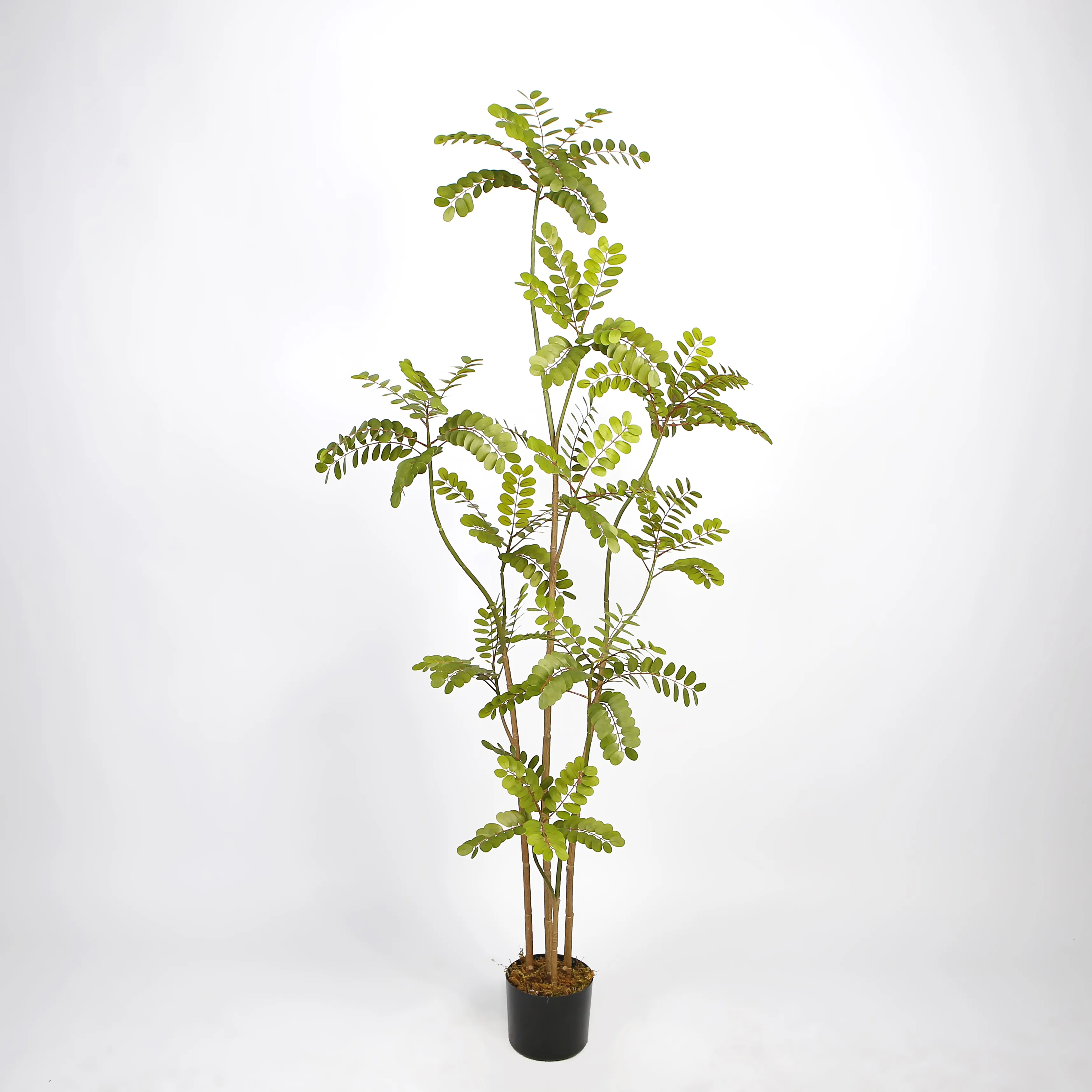 Planta Artificial Phyllanthus Emblica de 160cm, plantas en maceta de imitación, planta verde Artificial para estante, decoración para sala de estar y hogar